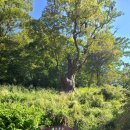 신연수역 1번출구 | 광덕산(천안)