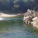 왕피천 은어길 이미지