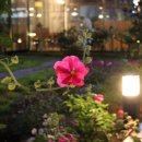 봉곡동361 이미지