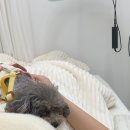 보보에스테틱 - 통영시 | 평택속눈썹펌 보보에스테틱 솔직후기