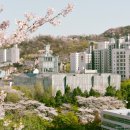 부동산 공경매 기초 이미지