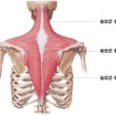 다르짐 이미지