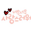 레인보우다육