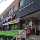 사파동300 이미지