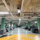 유림-1143 이미지