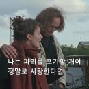 강아지의 하루 이미지