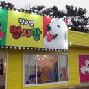 멍시앙 | 영종도 멍시앙 견주와 반려견이 모두 편한곳 ♪