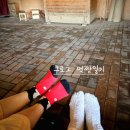 당진황토참숯 | 당진 황토참숯가마 다녀온 후기