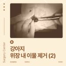 대흥동물병원 네이버블로그