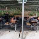 꼬마연못 이미지