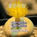 예쁜하루 이미지