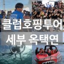 세부 옥택연 | 클럽 호핑투어 추천 | 내돈내산 후기