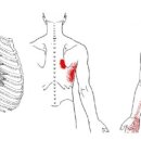 BODY愛(바디애) 이미지