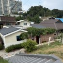 포도마을약국 이미지