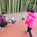 민속광장 이미지