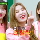 복싱멘토스쿨 이미지