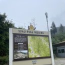 보름초교 | 누가 비 오는 날 등산을 하니? 낭만 우중 민둥산 산행기(강원도 당일치기여행)