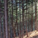 연인산스토리 이미지