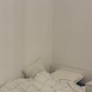 마이디어 민박 | 혼 여행자 필독! 프라하 한인민박 디어마이프라하 숙소 후기🤍 | 프라하 숙소추천 🇨🇿