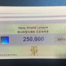 하나비발디레져