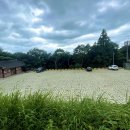 미황사 화장실 이미지