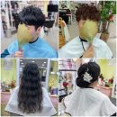 헤어두비취 이미지