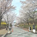 대구농업마이스터고등학교 이미지