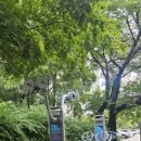 둥지어린이공원 이미지