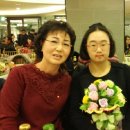 사회복지법인  다운회  아름다운 이미지