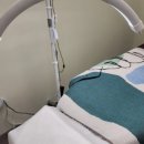 앨리스브로우 이미지