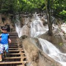 승도농장 이미지