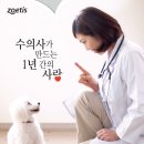 24시폴동물병원 이미지