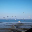 (주)이온팜 이미지