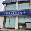 압구정동물의료센터 이미지