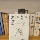 에밀 아자르의 『자기 앞의 생』 | 로맹 가리의 생을 갈아 넣은 책!
