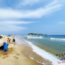 송지호 해수욕장 이미지