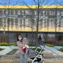 제부한빛 이미지