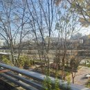 김현철콘서트 크리스마스에는 축복을 | 엔믹스 첫 단독콘서트 후기