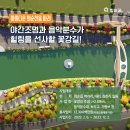 화순천L 네이버블로그