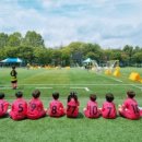 히어로즈축구클럽히어로즈스포츠