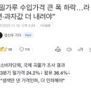 요즘 진짜 이해안되는 것 이미지