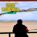 한마음슈퍼 | 내돈내산 태안겨울여행 한마음오션플레이스 오션뷰글램핑(+애견동반,평일숙박)