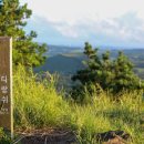 선흘 스카이 | 4월 한라산 등반 후 가볼 만한 곳들 2 - 다랑쉬오름, 덕천리 모산이 연못, 선흘곶 동백동산