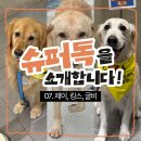 제이 에스 메디칼 네이버블로그