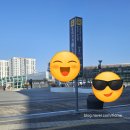 동대구경북약국 | 경북 영덕 장사해수욕장 기차여행 동대구역에서 장사역까지 당일치기 솔직후기 영덕여행추천 영덕갈만한 곳