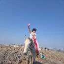 제부도요트 아이린 네이버블로그