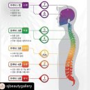 브레라인코리아 이미지