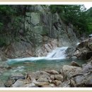 중원-86 Daum카페