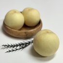 설아농장 | 설아복숭아 6시내고향 나온 겨울복숭아 대전베리팜