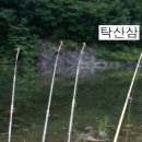 힐링엔 약초와민물